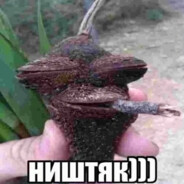 Этиловый skвирт