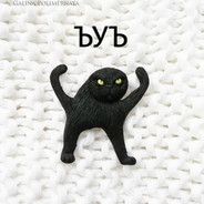 *Kot*