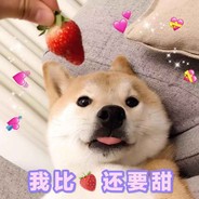 TopLookingForBtm