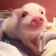 虚生花