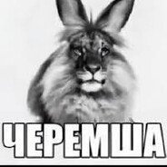 Жей Бидов