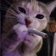 TEKO