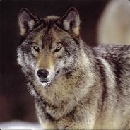 [S0U]ThisOne