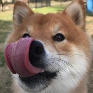 кijo