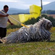 Sentient Mop