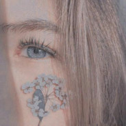 Thesuu