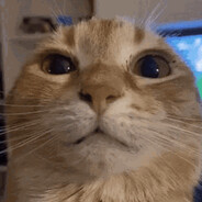 meow