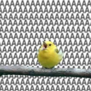 AAAAAAAAAAAAAAAAAAAAAAAAAAAAAAAA