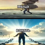 молодой тризини