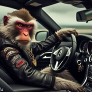 Monkey