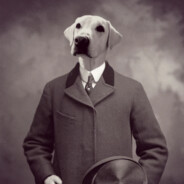 BarkBarkington