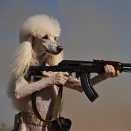 Cheri The Poodle