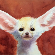 Fennec Fox