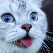 iLoVeCaTs ♥♥♥♥♥♥♥♥.com