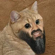 Explosiv Kitten