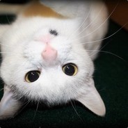 KIRIKOU EST PETIT