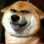 呀你是多德
