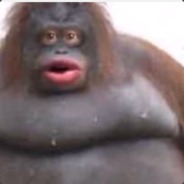 Bruh, mah dik