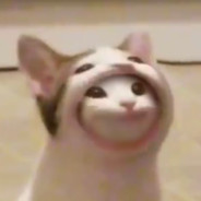 kozo