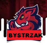 ™Bystrzak™