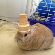 Bunnt