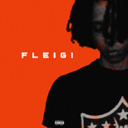 fleigi