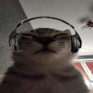 dxsh