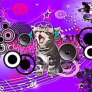 dj frutiger kitten