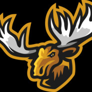 Wickid Moose