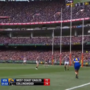 Dom Sheed