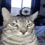 Аватар сообщества Steam