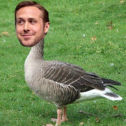 JK Gans-Gooseling