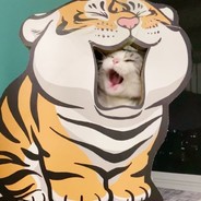 头硬的小笼包