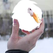 SnowBeak