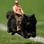 Putin n' Cat