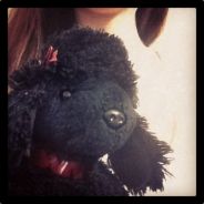 Puddy24
