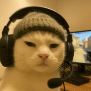 Will.i.am