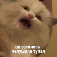 pyz do sya