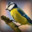 Group Avatar