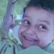 araP