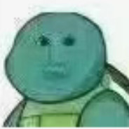 绿头蛤蟆