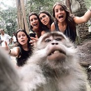 MonkeyJack