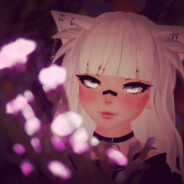 ♥♥♥♥♥♥♥♥♥♥♥♥