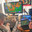 Group Avatar