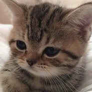 ^3^