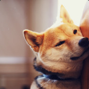 MIKAL "DOGEMEISTER" 69