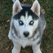 ~*Jake*~