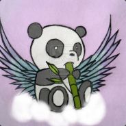 ThéFlyingPanda