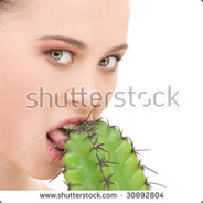 angyosperm