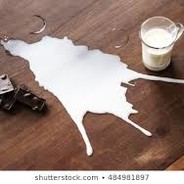 papamilk69